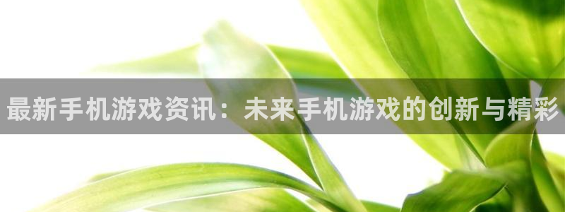 长征娱乐平台注册：最新手机游戏资讯：未来手机游戏的创新与精彩