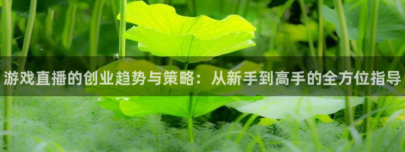 长征娱乐什么意思：游戏直播的创业趋势与策略：从新手到高手的全