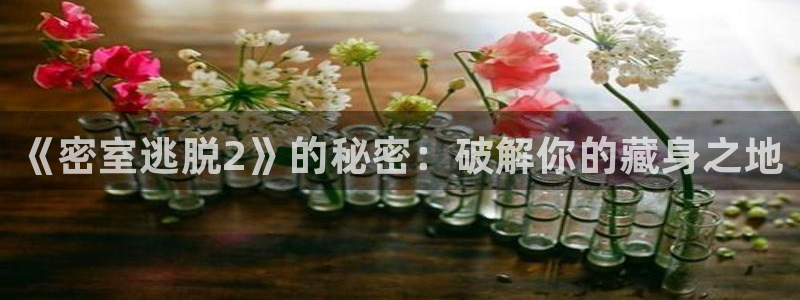 长征娱乐平台官网入口：《密室逃脱2》的秘密：破解你的藏身之地