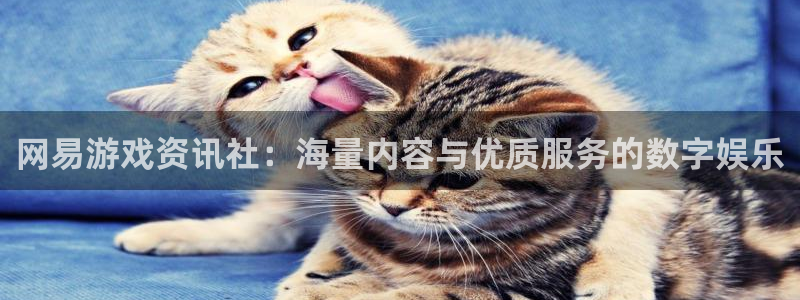 长征娱乐注册网站：网易游戏资讯社：海量内容与优质服务的数字娱