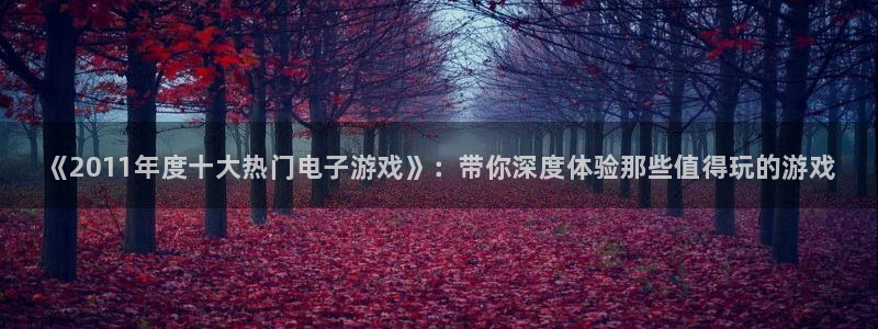 长征娱乐娱乐：《2011年度十大热门电子游戏》：带你深度体验