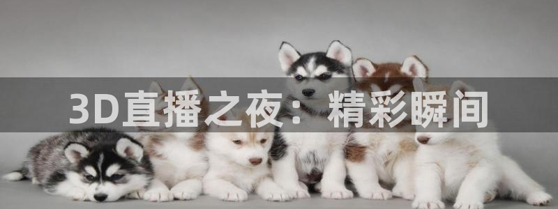 833比赛直播：3D直播之夜：精彩瞬间