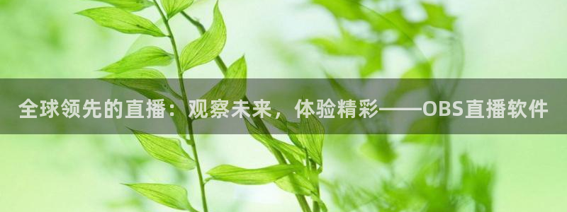 833足球比赛直播：全球领先的直播：观察未来，体验精彩——OBS直播软件