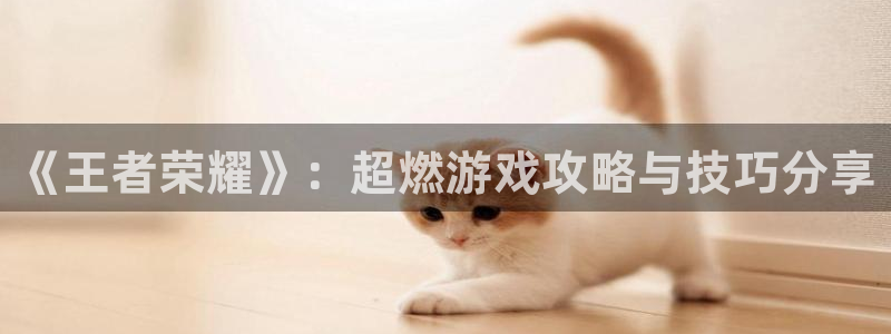 长征娱乐2首页登录：《王者荣耀》：超燃游戏攻略与技巧分享