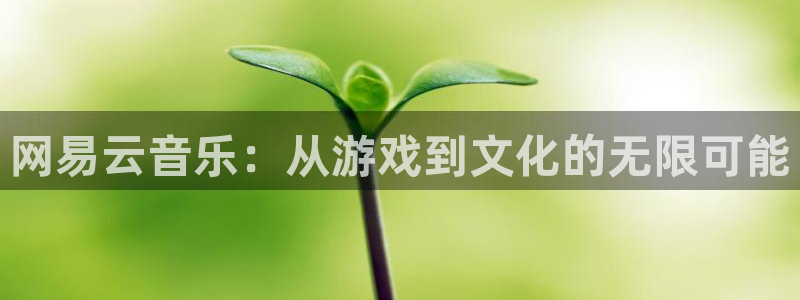 长征娱乐娱乐是真的吗：网易云音乐：从游戏到文化的无限可能