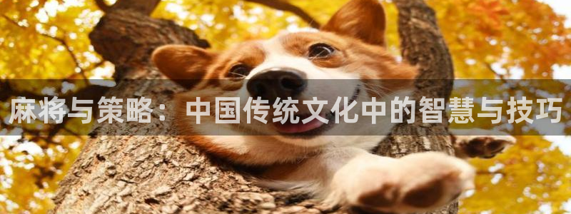 长征娱乐官网：麻将与策略：中国传统文化中的智慧与技巧