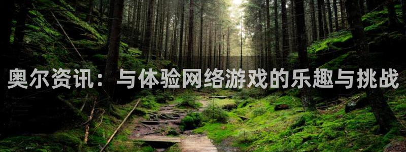 长征娱乐登录：奥尔资讯：与体验网络游戏的乐趣与挑战