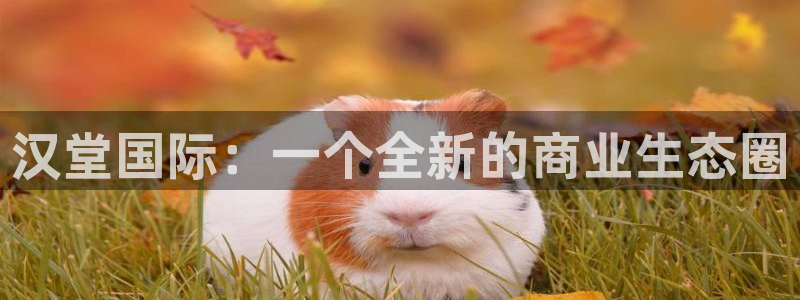 长征娱乐平台官网登录：汉堂国际：一个全新的商业生态圈