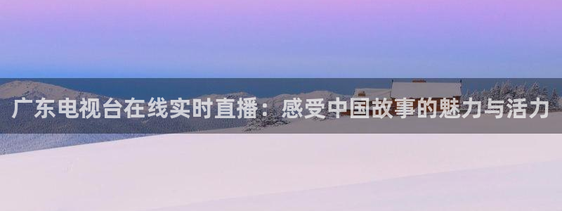833足球直播网：广东电视台在线实时直播：感受中国故事的魅力与活力