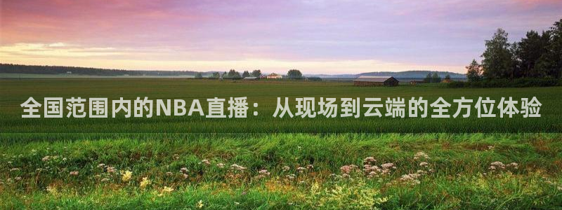 833比赛直播观看