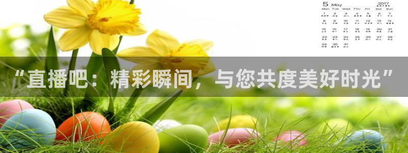 833足球比赛免费直播