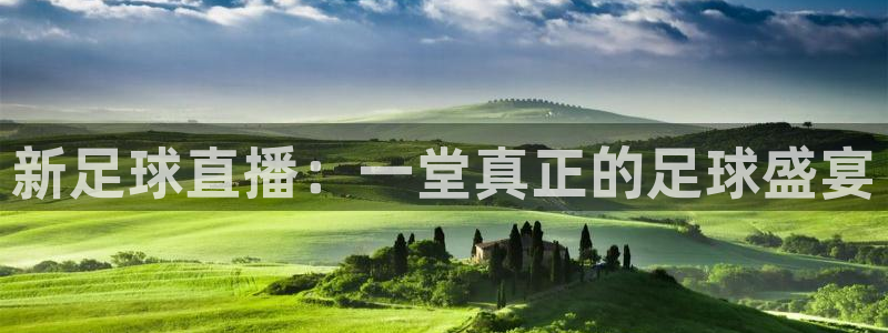 3833tv直播nba免看