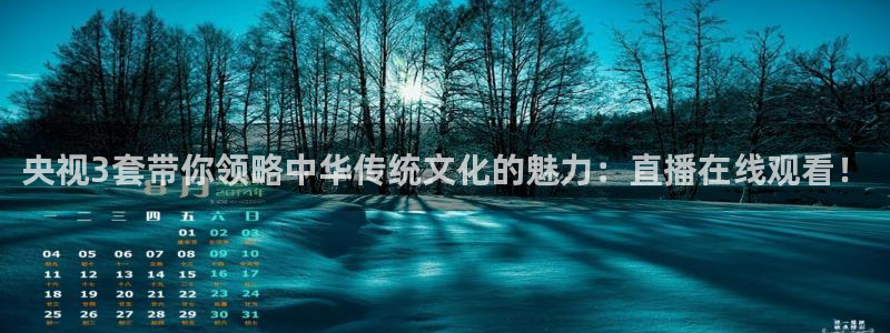 833直播足球比赛视频：央视3套带你领略中华传统文化的魅力：直播在线观看！