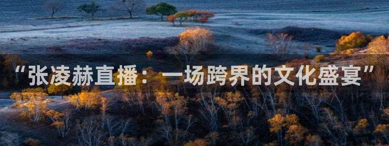 833直播免费体育直播下载：“张凌赫直播：一场跨界的文化盛宴”